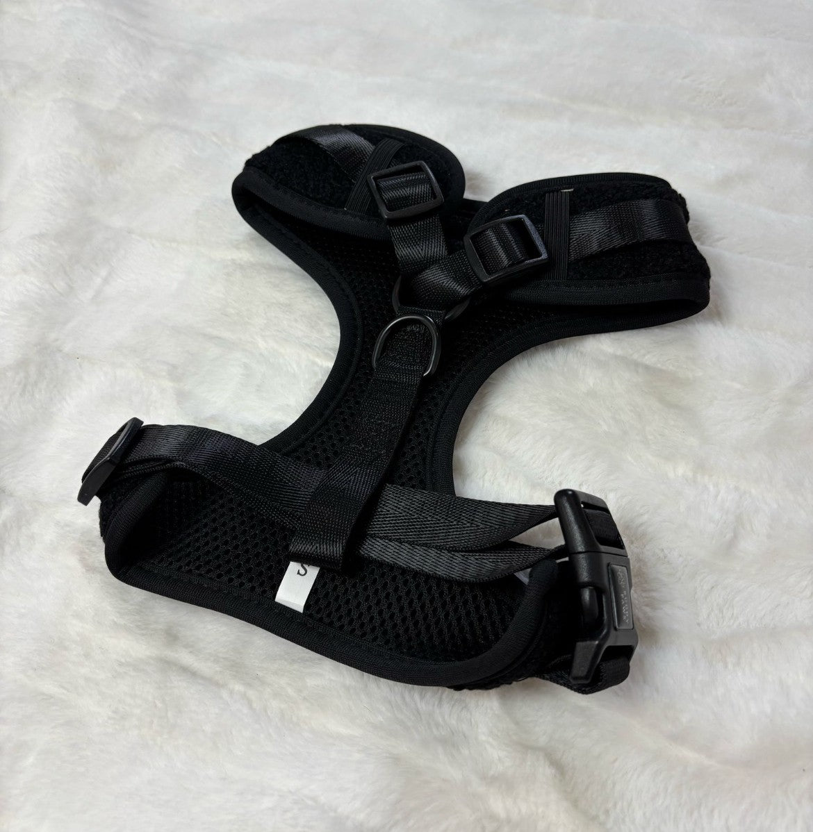 All-Black Teddy Bundle