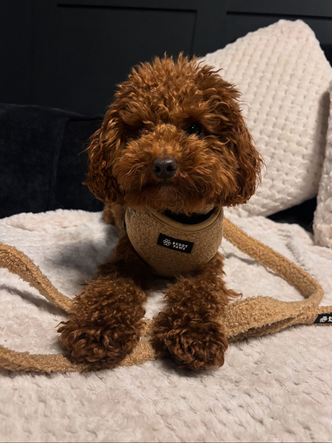Caramel Teddy Bundle