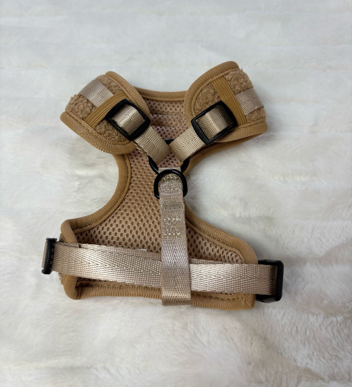 Caramel Teddy Harness